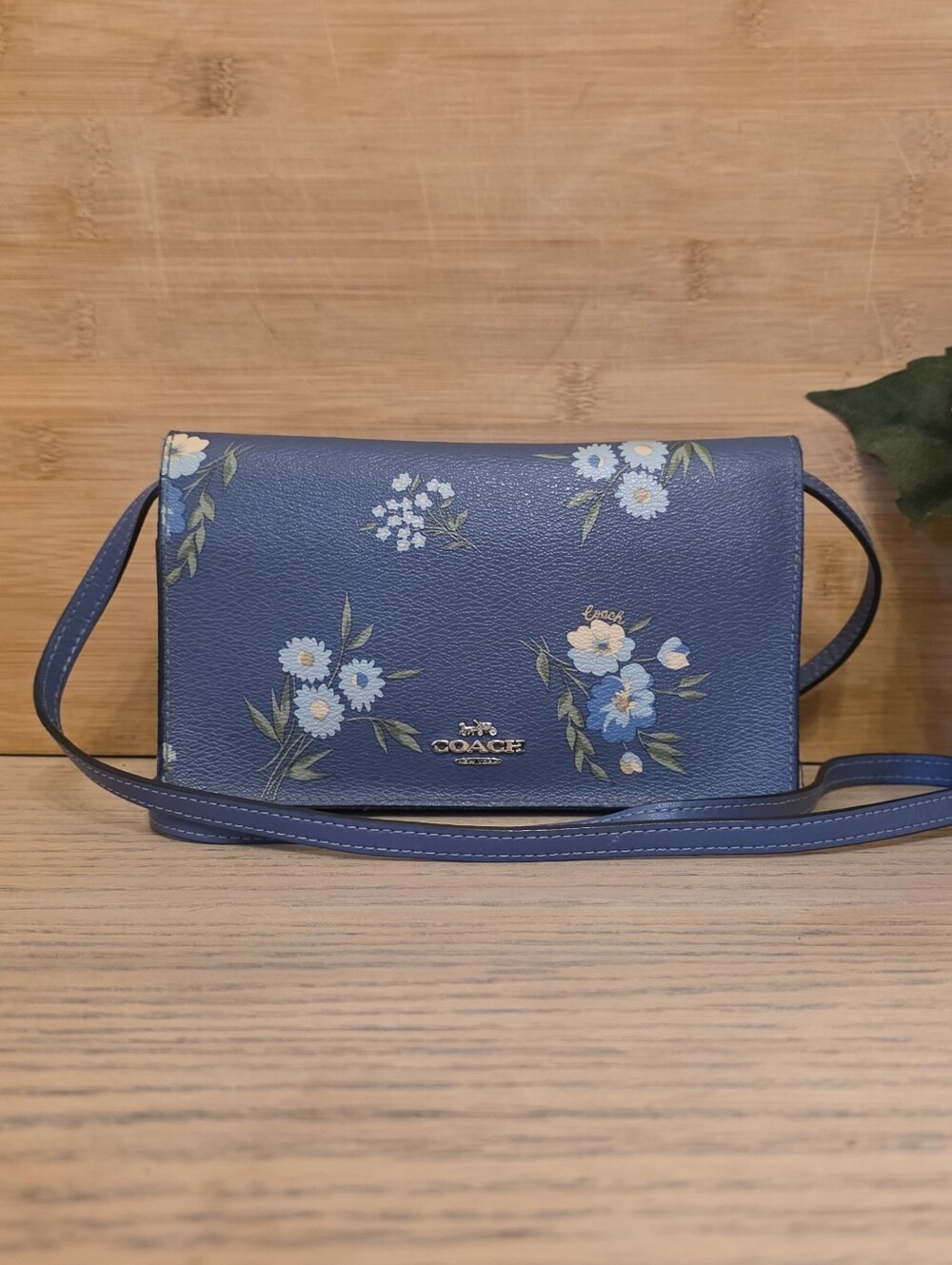 The Coach F73018 Hayden Foldover Crossbody Clutch